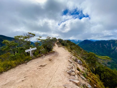Looking across the trail on Skyline Ridge