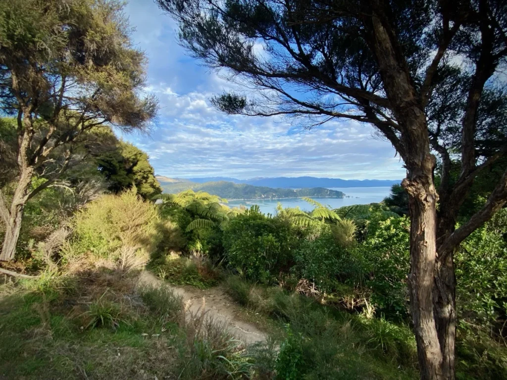 abel_tasman_track_1200 Looking out over Golden Bay from the Abel Tasman Track