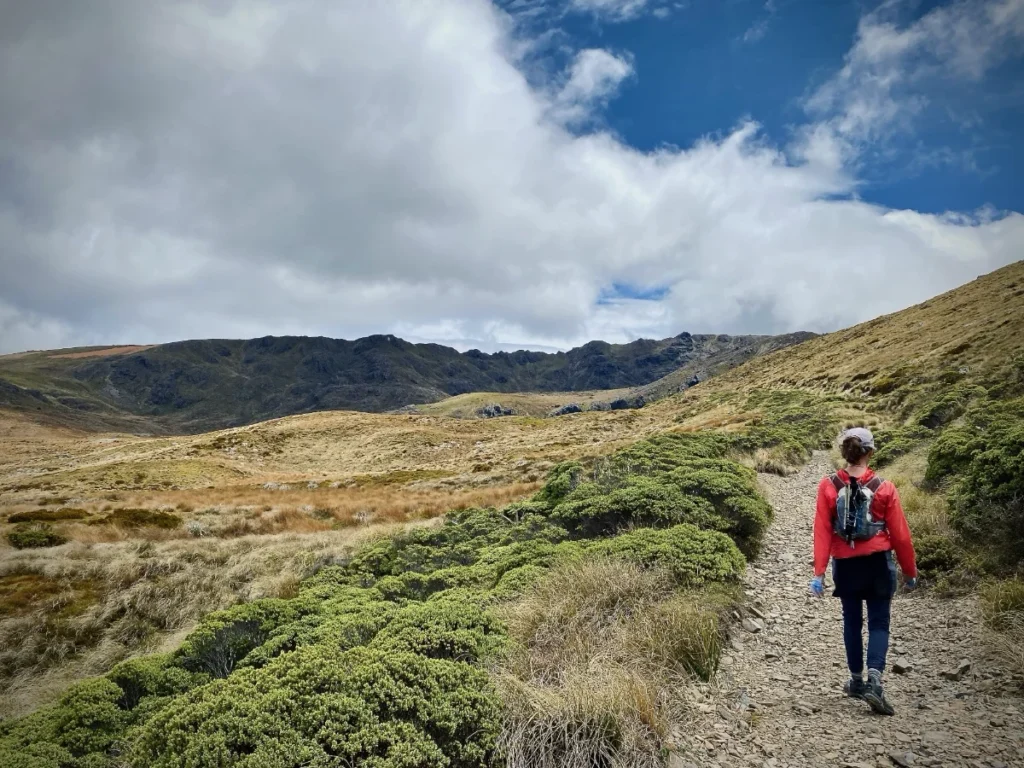 sylvester_lake_track_1200 Walking near Sylvester Lake
