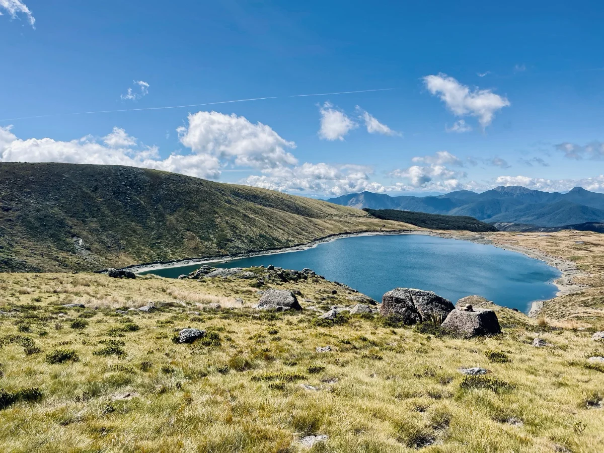 Cobb Valley near Sylvester Hut